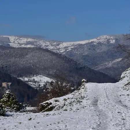Authentique Апартаменты Сульц-О-Рен
