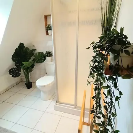 Апартаменты Authentique