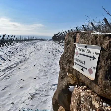 Authentique * Сульц-О-Рен