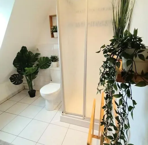 Appartement Authentique